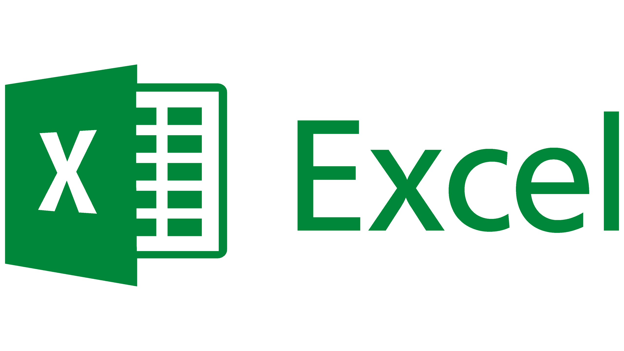 excel logo, one of financial modeling software