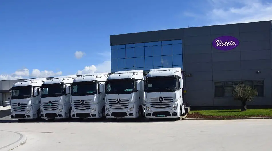 case-study-violeta-ft-image