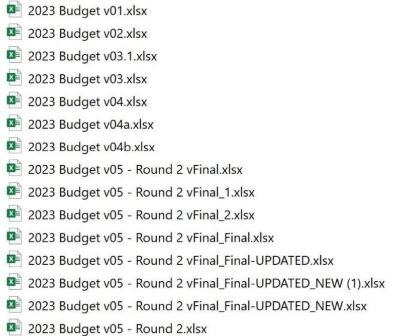 Budget_v5_Round2_FINAL_FINAL.xlsx